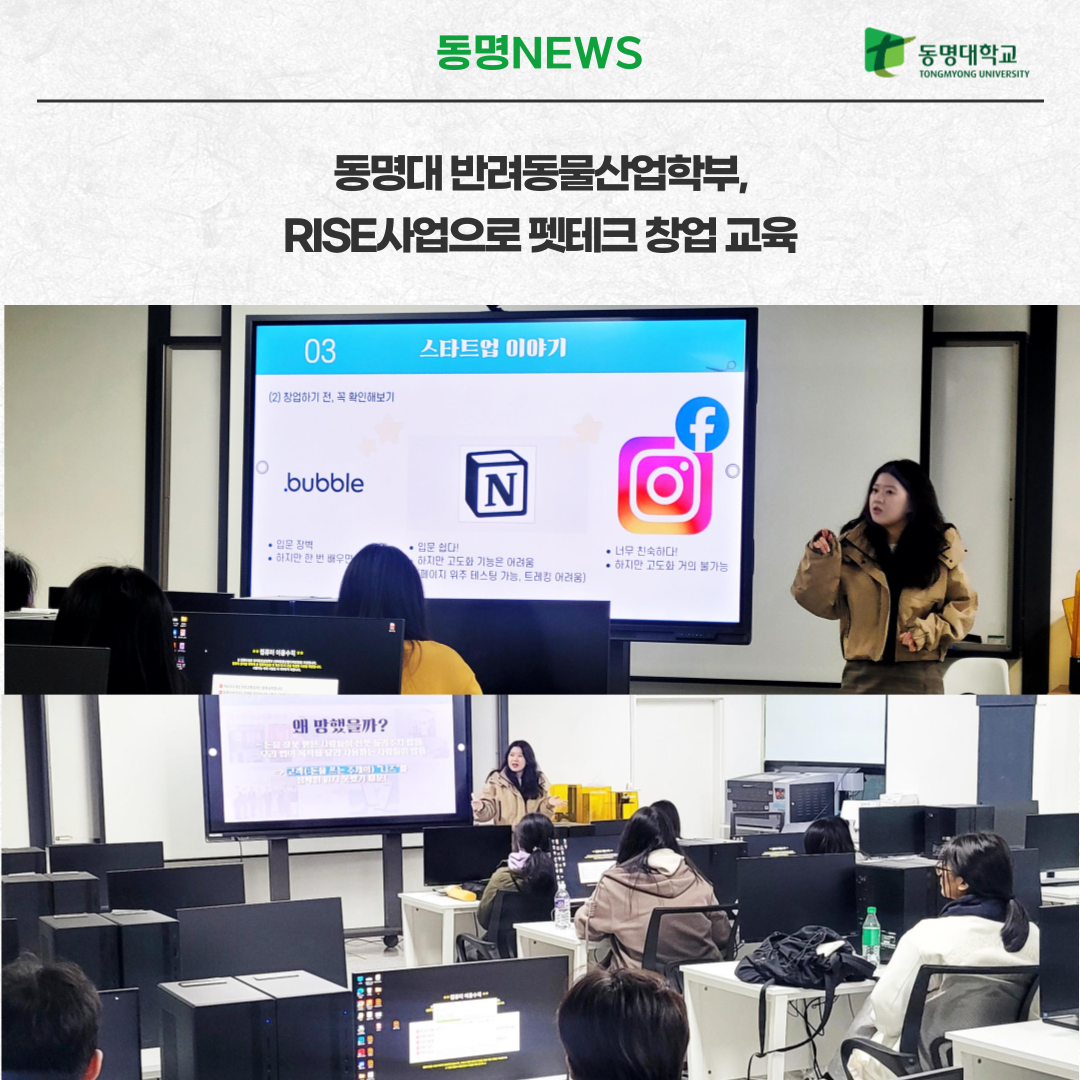 라이즈