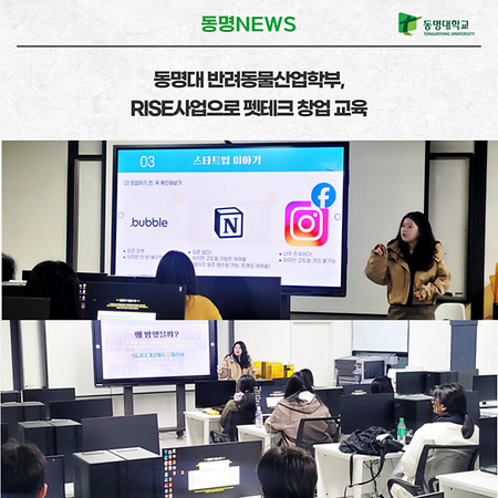 라이즈
