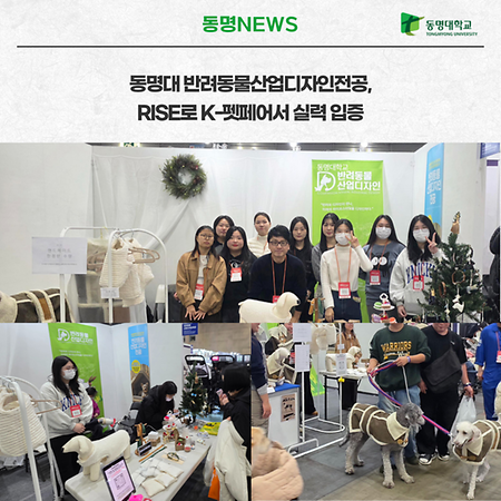 라이즈