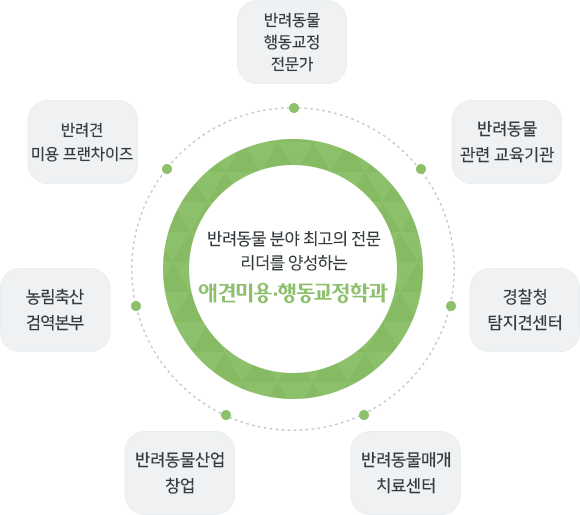 21세기 첨단 정보화 시대를 선도하는 컴퓨터공학과 - 소프트웨어 개발자, IT 융합 및 연구소, 데이
		터베이스 관리자, 네트워크 관리자, 보안 전문가, 웹 마스터 및 프로그래머, 시스템 엔지니어